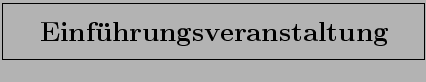 \fbox{\rule[-3mm]{0cm}{1cm}\qquad\bf\LARGE\bf Einf\uml uhrungsveranstaltung\quad }