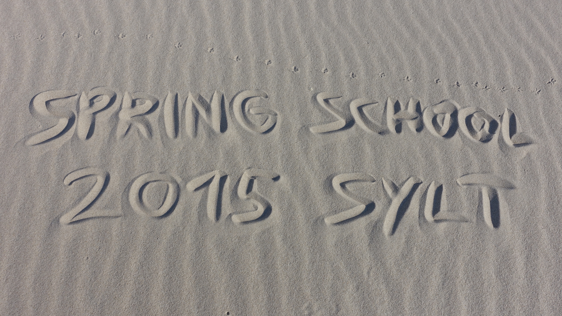 SpringSchool2015 Sylt 02