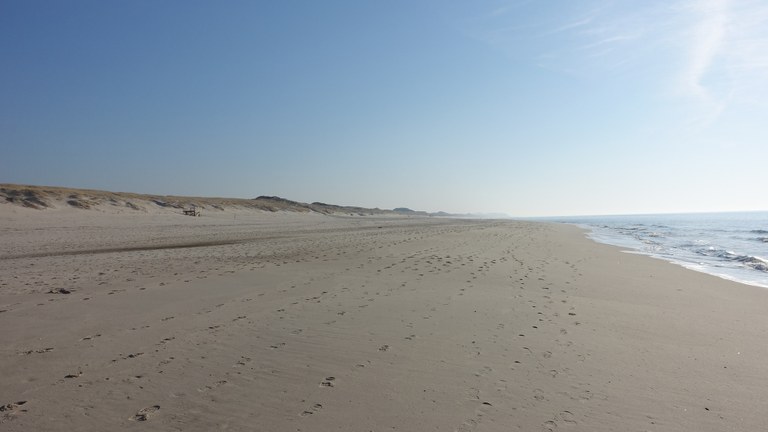 SpringSchool2015 Sylt 03