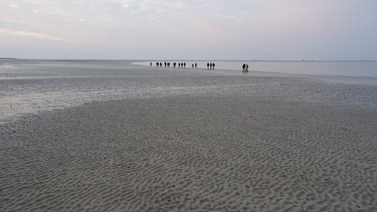 SpringSchool2015 Sylt 09