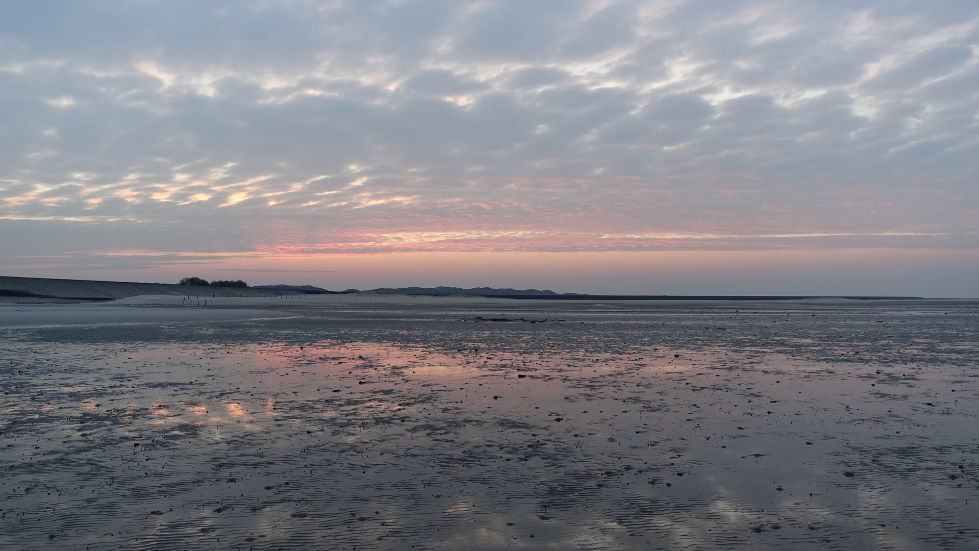 SpringSchool2015 Sylt 12