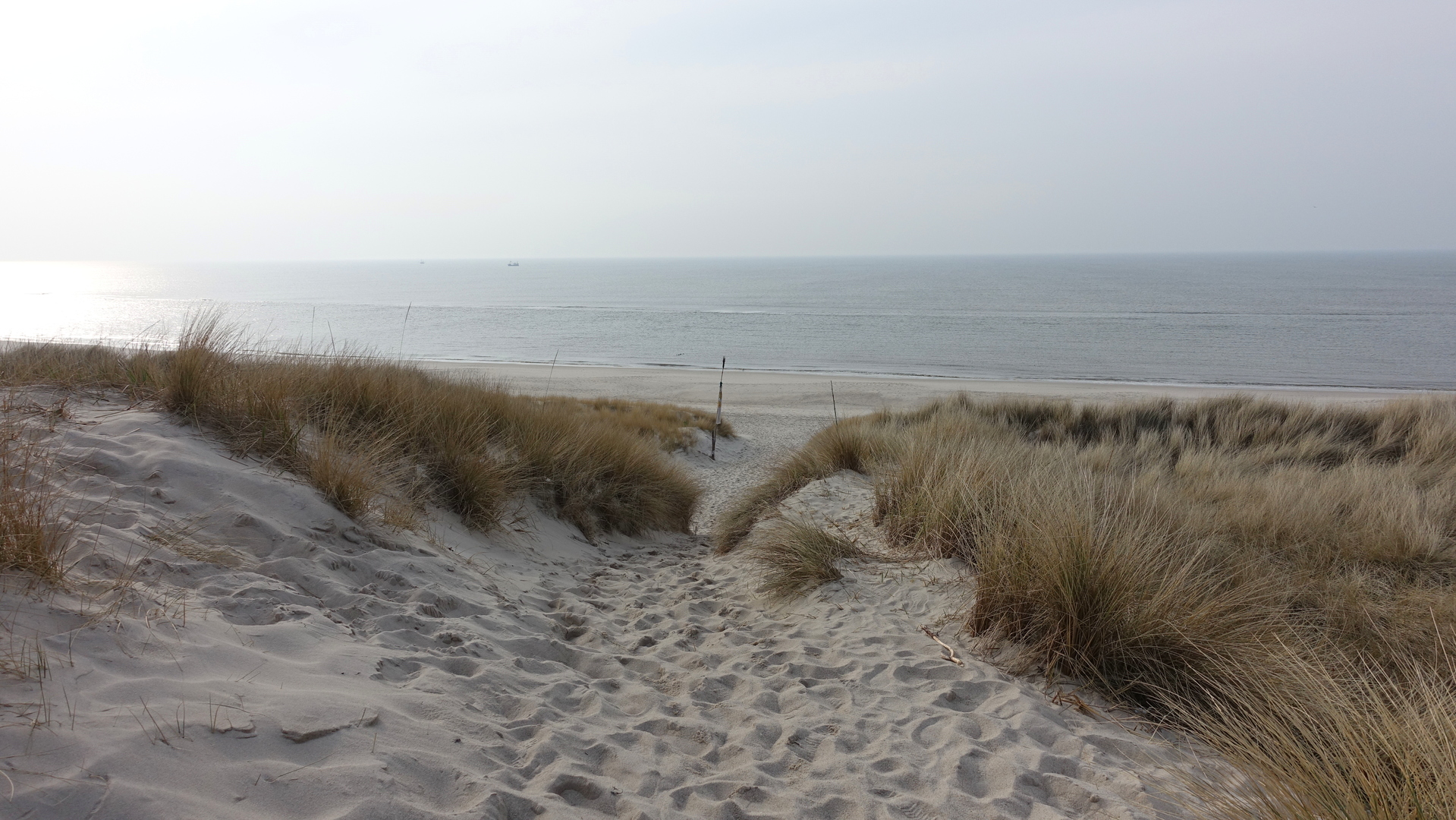 SpringSchool2015 Sylt 17