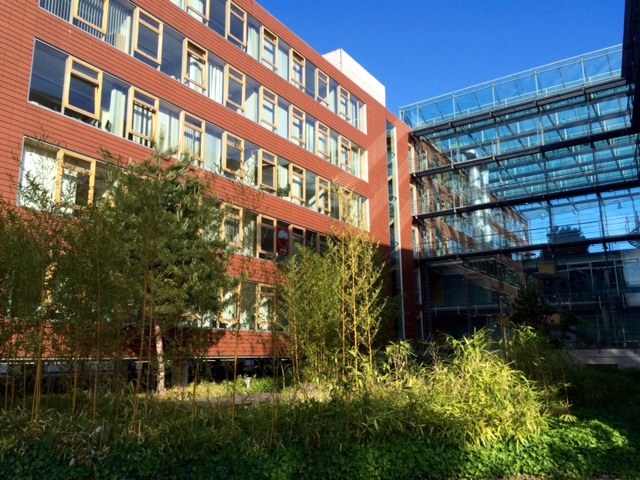 adlershof-01.jpg